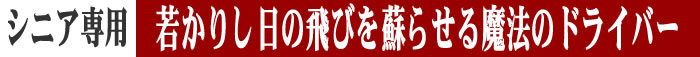 �V�j�A��p�@�Ⴉ�肵���̔�т�h�点�閂�@�̃h���C�o�[